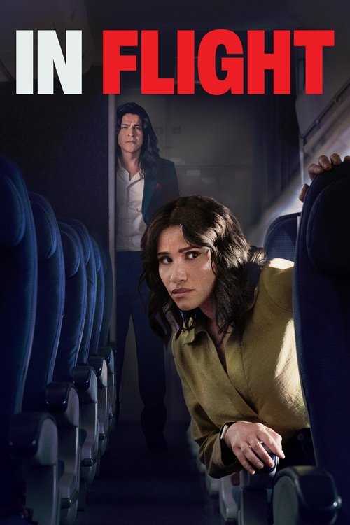 Movie poster for In Flight (2024)