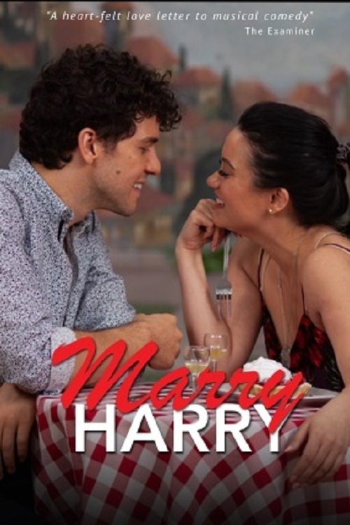 Movie poster for Marry Harry (2020)