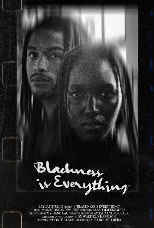 Movie poster for Blackness Is Everything (2021)