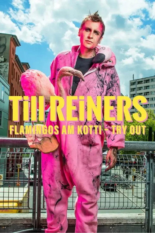 Movie poster for Till Reiners - Flamingos am Kotti (2023)