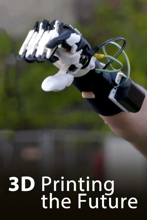 Movie poster for 3D - Printing the future (2017)