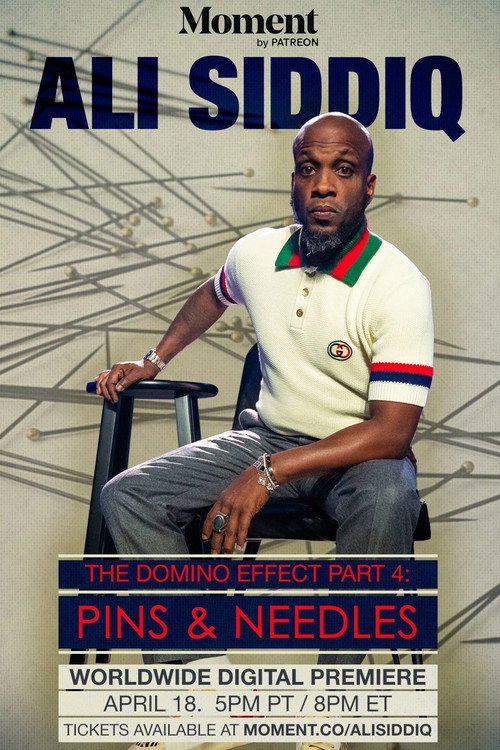 Movie poster for Ali Siddiq: The Domino Effect 4: Pins & Needles (2024)