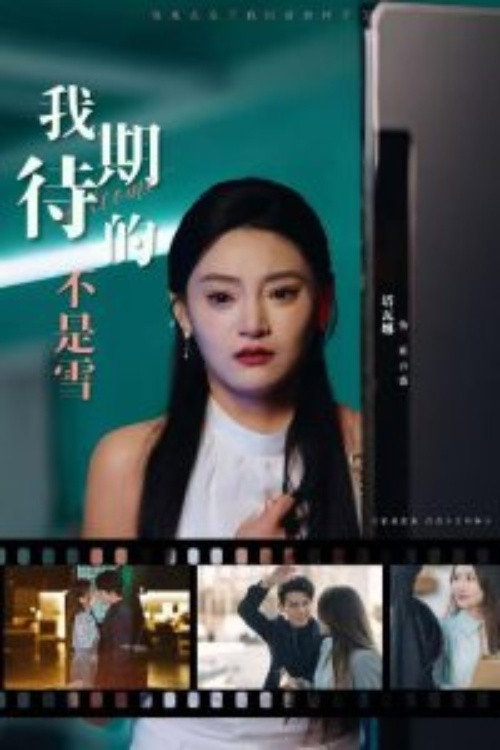 Series poster for 我期待的不是雪 (2025)