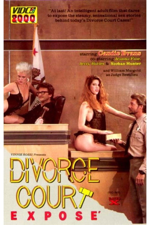 Movie poster for Divorce Court Expose (1987)