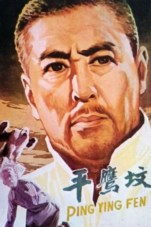 Movie poster for 平鹰坟 (1978)