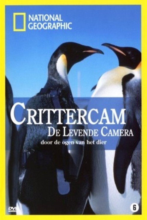 Movie poster for Crittercam (2004)