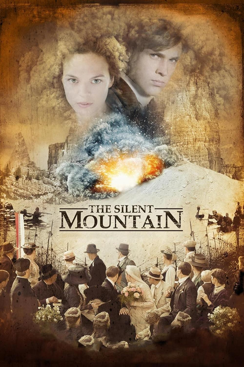 Movie poster for The Silent Mountain (2014)