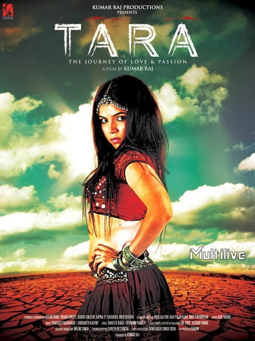 Movie poster for Tara: The Journey of Love and Passion (2013)