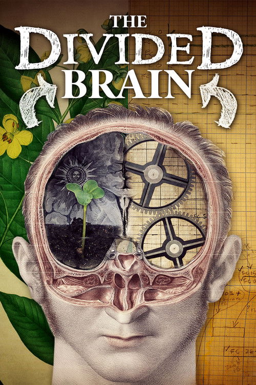 Movie poster for The Divided Brain (2019)