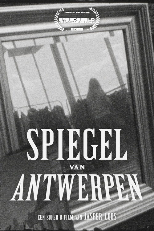 Movie poster for Spiegel van Antwerpen (2025)