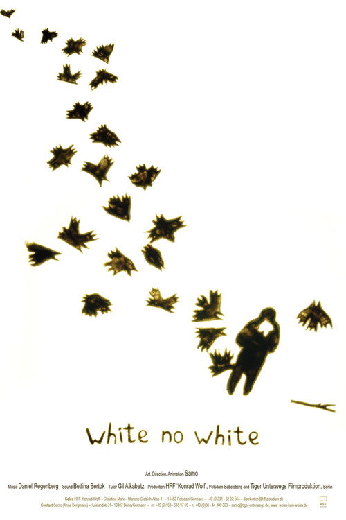 Movie poster for White no White (2010)