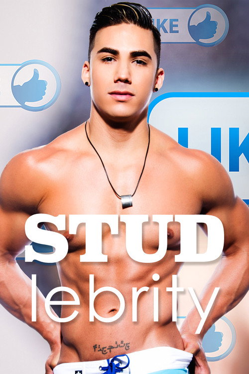 Movie poster for Studlebrity (2014)
