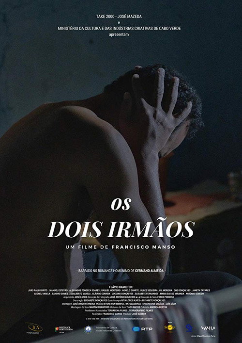 Movie poster for The Two Brothers (2019)