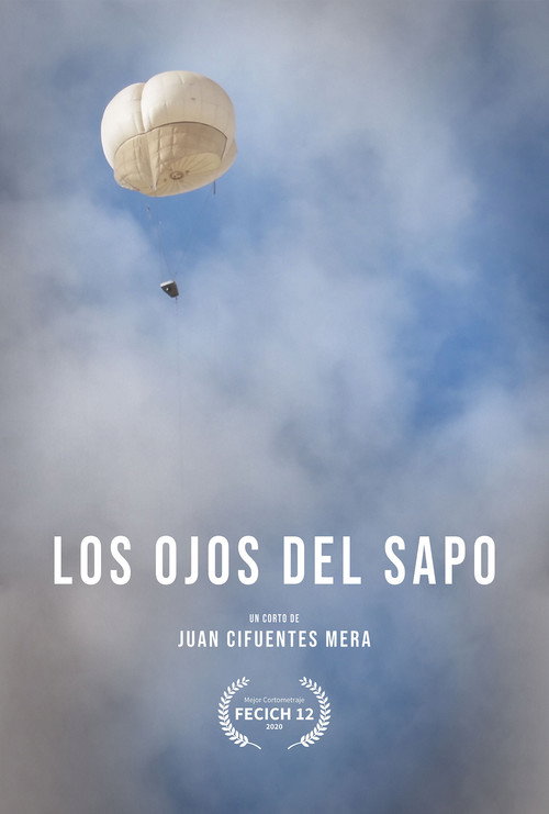Movie poster for Los Ojos del Sapo (2020)