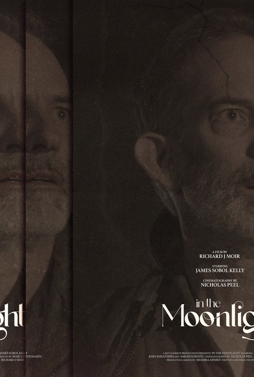 Movie poster for In The Moonlight (2023)