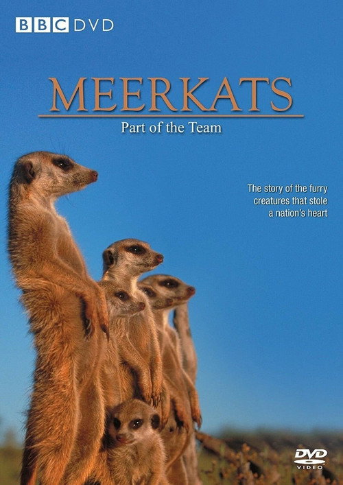 Movie poster for Meerkats: Part of the Team (2002)