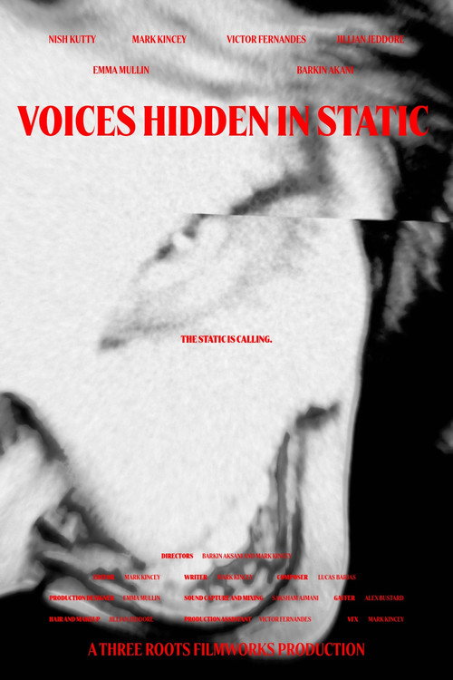 Movie poster for Voices Hidden in Static (2025)