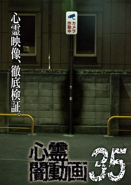 Movie poster for Psychic Darkness Video 35 (2019)