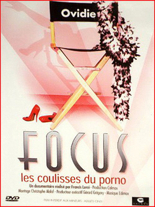 Movie poster for Focus (2002)