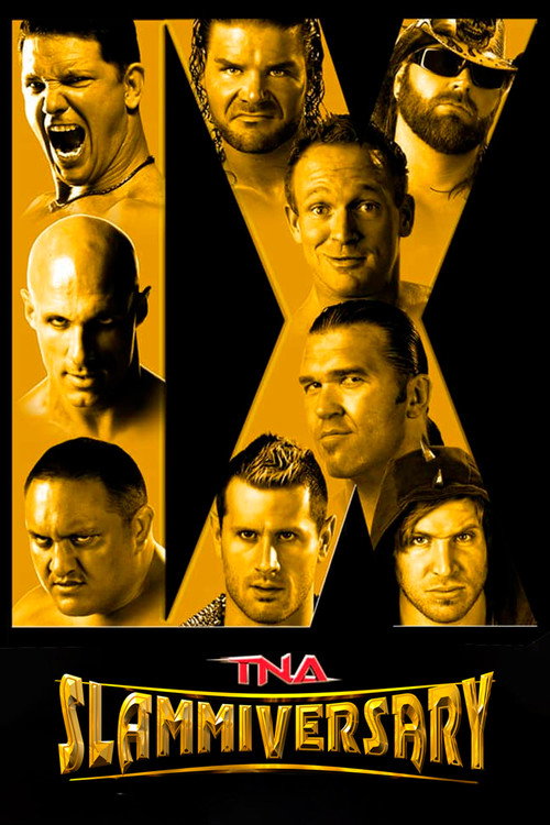 Movie poster for TNA Slammiversary IX (2011)