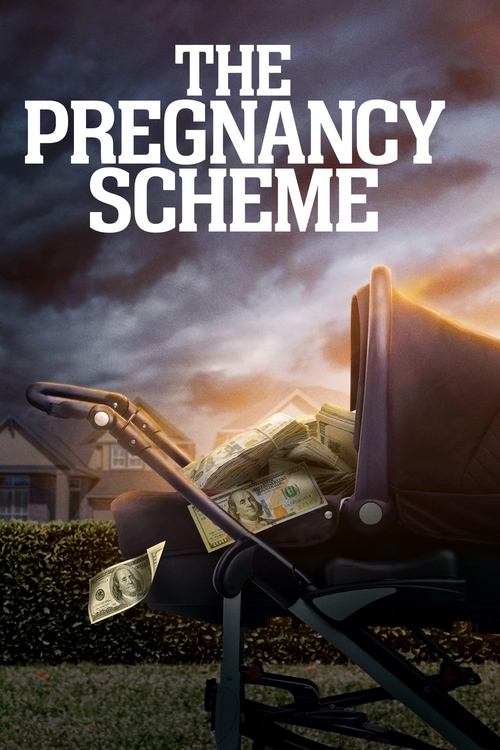Movie poster for The Pregnancy Scheme (2023)