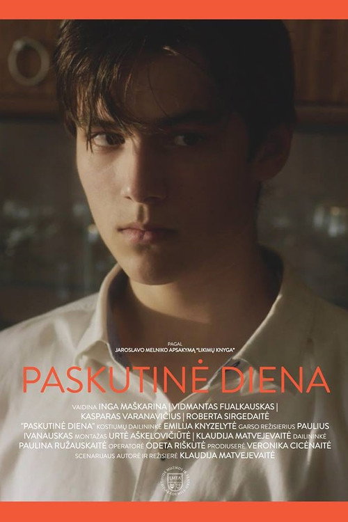 Movie poster for The Last Day (2018)