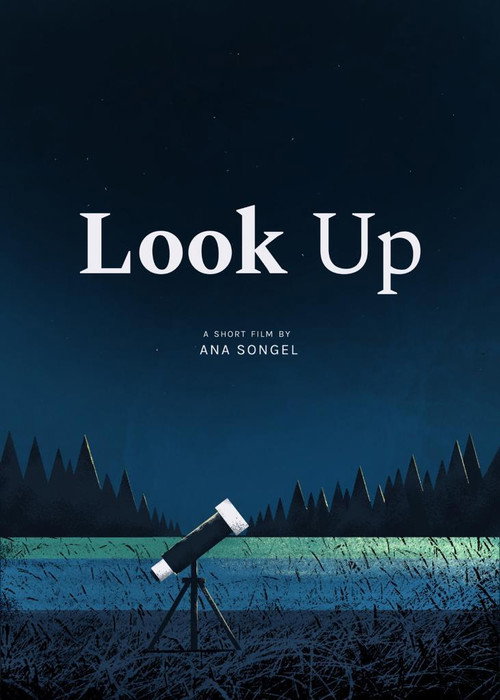 Movie poster for Look Up (2019)