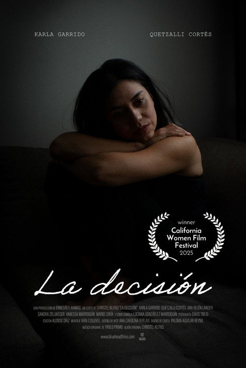 Movie poster for La Decisión (2025)