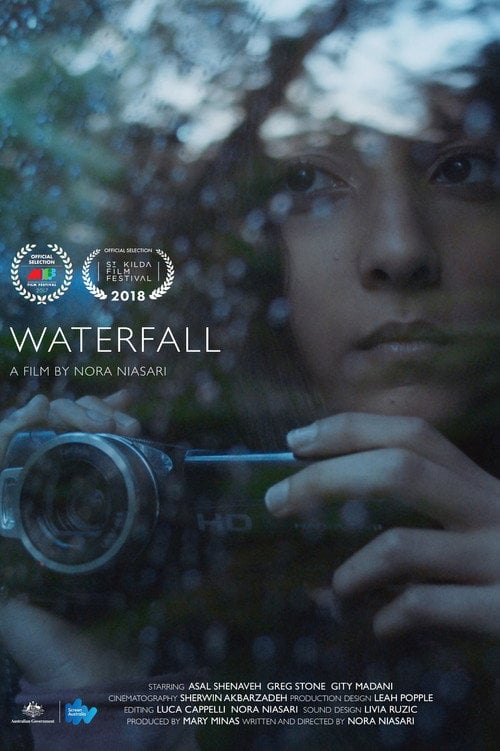 Movie poster for Waterfall (2017)