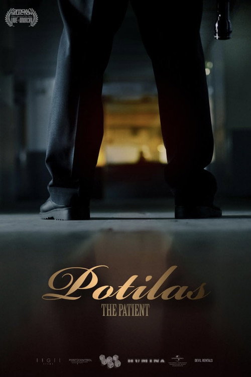 Movie poster for The Patient (2010)