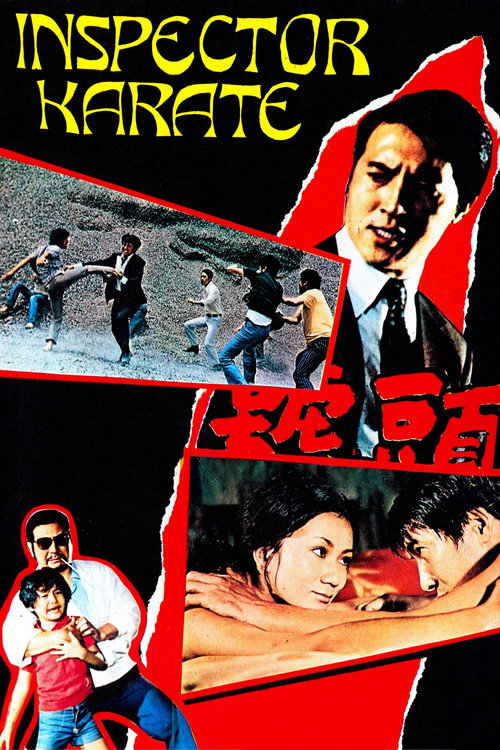 Movie poster for The Iron Hero (1973)