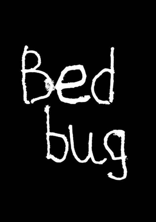 Movie poster for Bedbug (2014)