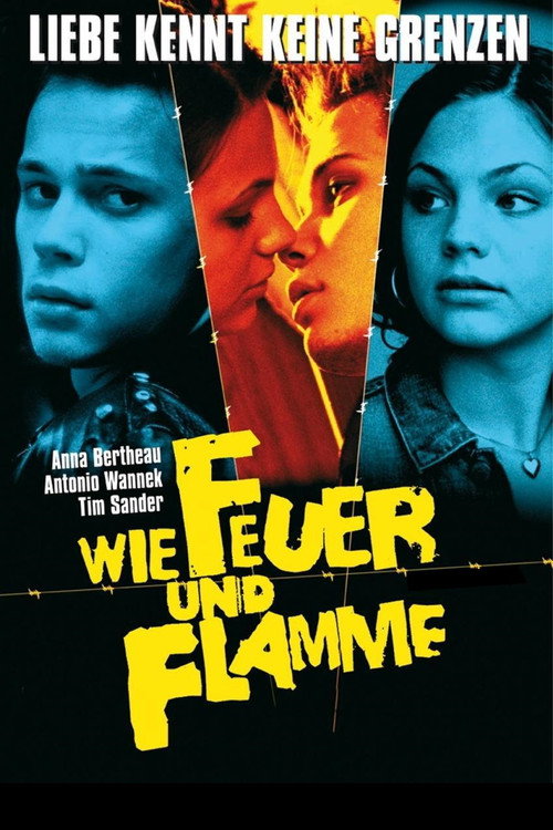 Movie poster for Never Mind the Wall (2001)