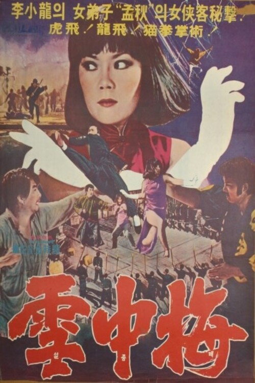 Movie poster for Snow Plum Blossom (1976)