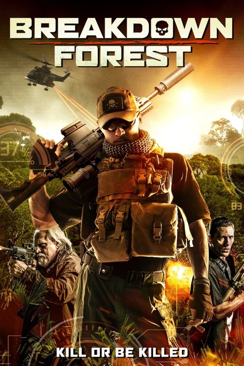 Movie poster for Breakdown Forest (2019)