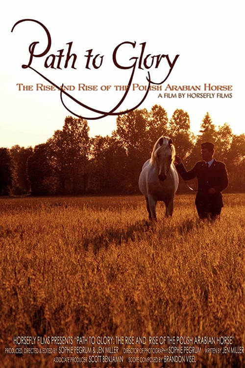 Movie poster for Path to Glory: The Rise and Rise of the Polish Arabian Horse (2011)