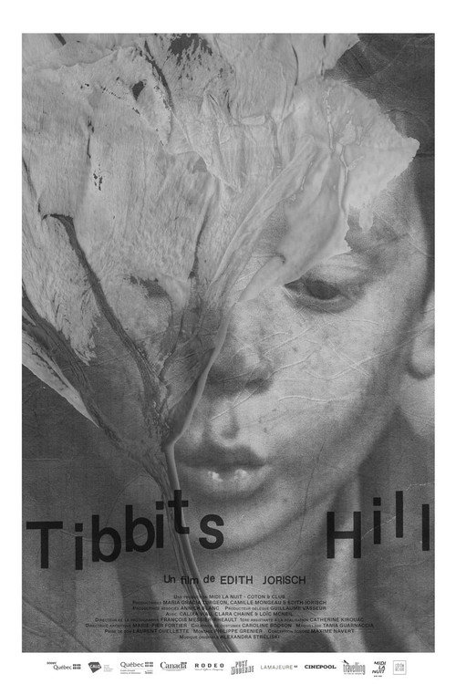 Movie poster for Tibbits Hill (2021)