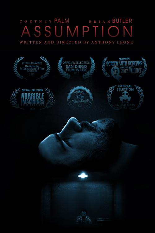 Movie poster for Assumption (2017)