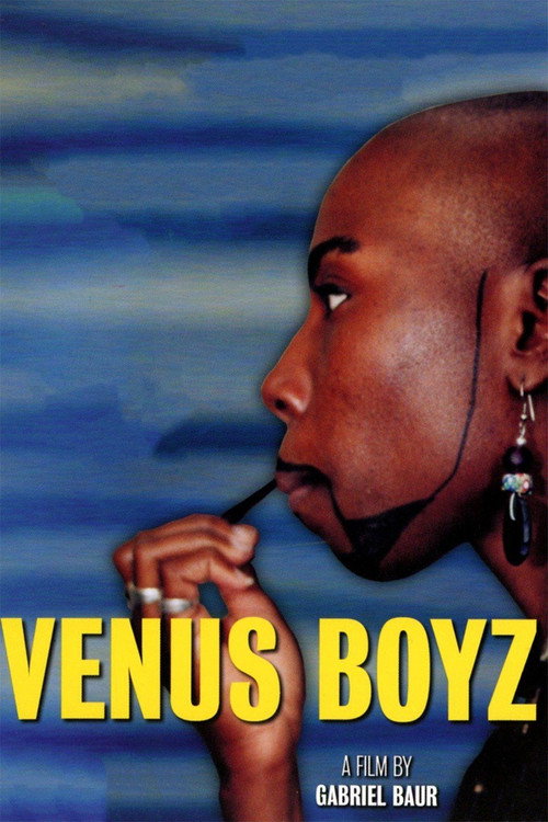 Movie poster for Venus Boyz (2002)