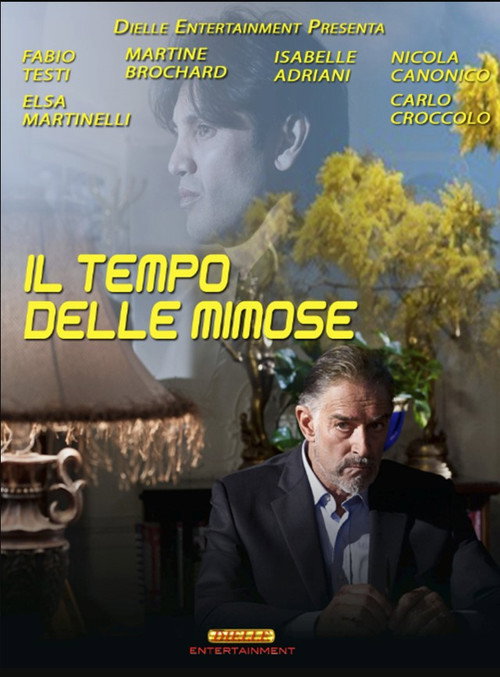 Movie poster for Il tempo delle mimose (2013)