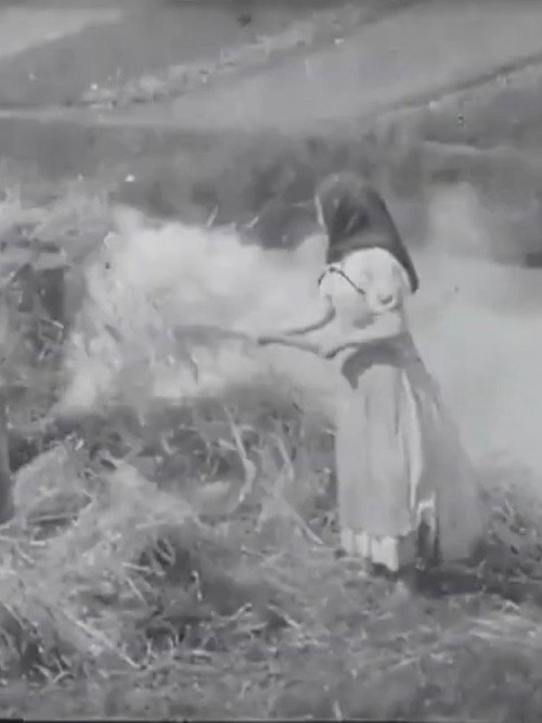 Movie poster for Brûleuses d'herbes (1899)
