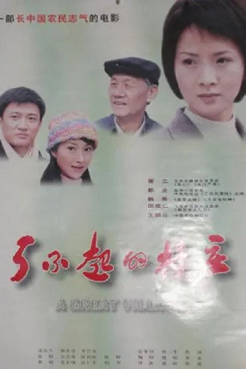 Movie poster for 了不起的村庄 (2003)