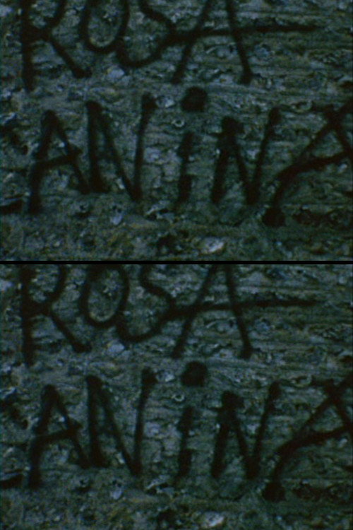 Movie poster for Rosa Canina (1975)