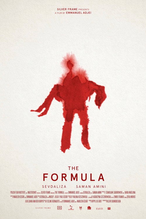Movie poster for The Formula (2016)