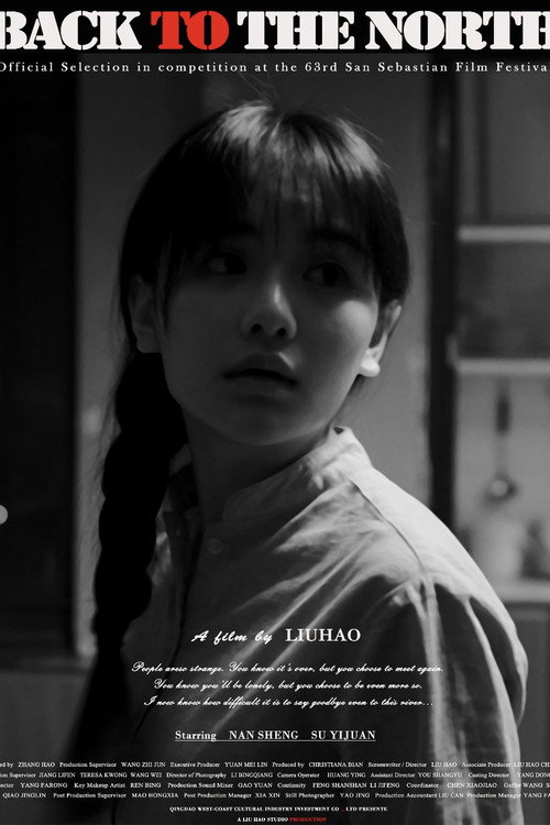 Movie poster for Back to the North (2015)