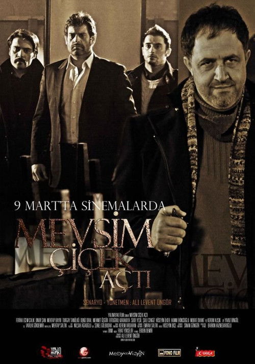 Movie poster for The Season has Blossomed (2012)
