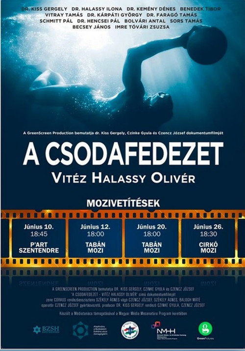 Movie poster for The Marvellous Defender (2018)