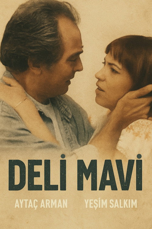 Movie poster for Deli Mavi (2005)