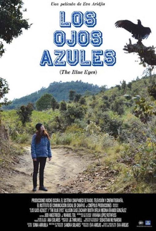 Movie poster for The Blue Eyes (2013)