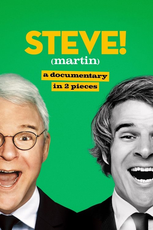 STEVE! (martin) a documentary in 2 pieces poster